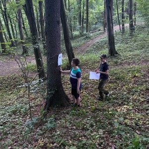 Květnová oddílovka Lišek a Kocourů