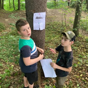 Květnová oddílovka Lišek a Kocourů