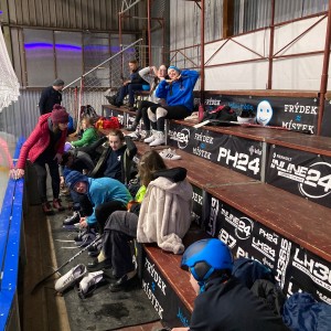 Liščí a Kocouří oddílovka na bruslích
