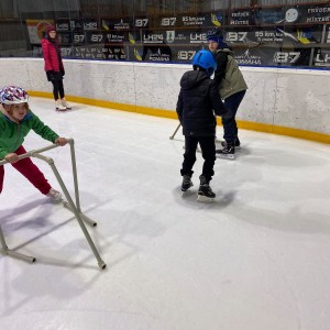 Liščí a Kocouří oddílovka na bruslích