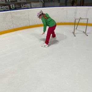 Liščí a Kocouří oddílovka na bruslích