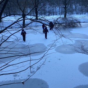 Kocouří výprava a laser game