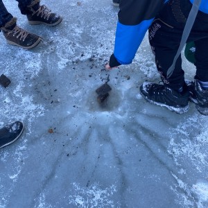 Kocouří výprava a laser game