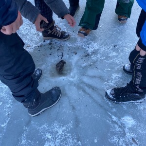 Kocouří výprava a laser game