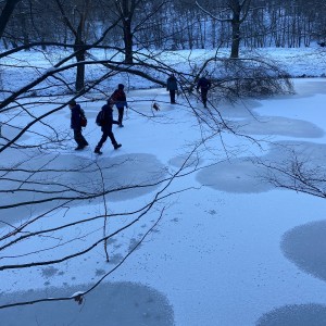 Kocouří výprava a laser game