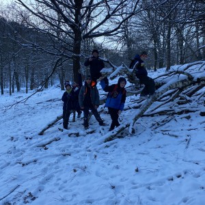 Kocouří výprava a laser game