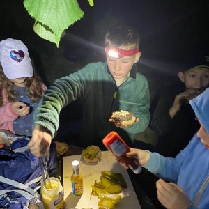 Kocouří výprava