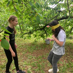 Květnová oddílovka 2024