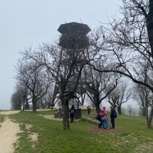 Lasičky v Hustopečích