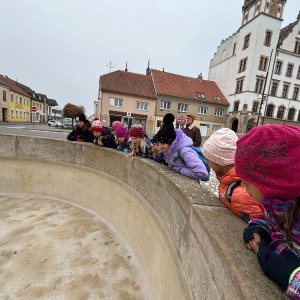 Lasičky v Hustopečích