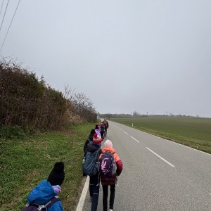 Lasičky v Hustopečích