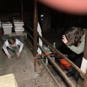 Lednová oddílovka 2024