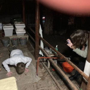 Lednová oddílovka 2024