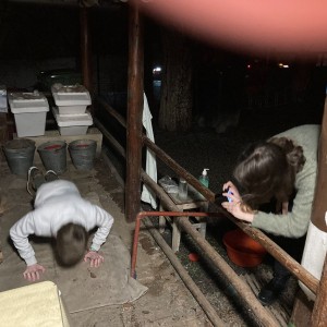 Lednová oddílovka 2024