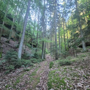 Liščí puťák na Kokořínsko 2024