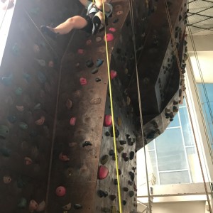 Lišky na stěně a na diskgolfu - 2.3.2024