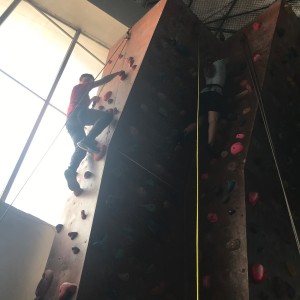 Lišky na stěně a na diskgolfu - 2.3.2024