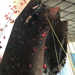 Lišky na stěně a na diskgolfu - 2.3.2024