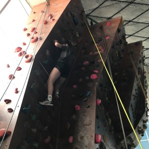 Lišky na stěně a na diskgolfu - 2.3.2024