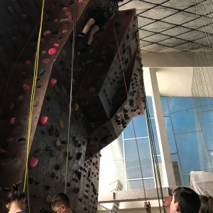 Lišky na stěně a na diskgolfu - 2.3.2024