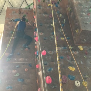 Lišky na stěně a na diskgolfu - 2.3.2024