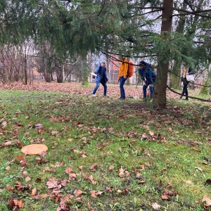 Lišky na stěně a na diskgolfu - 2.3.2024