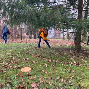 Lišky na stěně a na diskgolfu - 2.3.2024