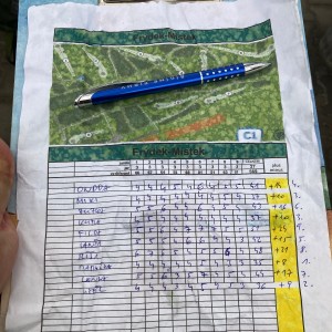 Lišky na stěně a na diskgolfu - 2.3.2024
