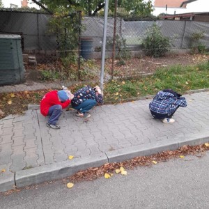 Přespávačka Jestřábů