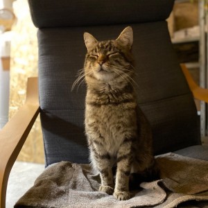 Říjnová oddílovka - Hukvaldy