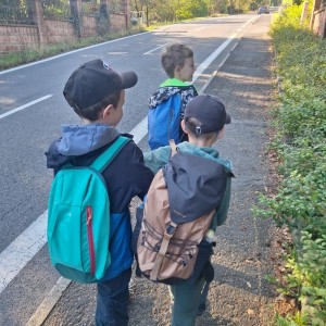 Sokolí výprava do obory