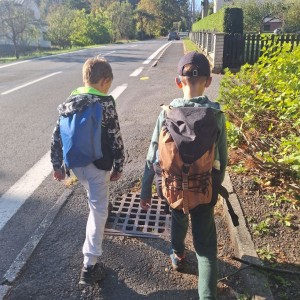 Sokolí výprava do obory