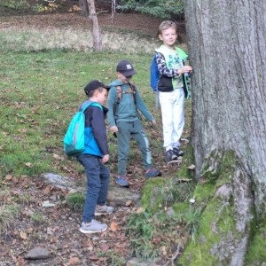 Sokolí výprava do obory