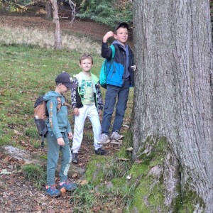 Sokolí výprava do obory