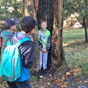 Sokolí výprava do obory