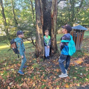 Sokolí výprava do obory