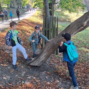 Sokolí výprava do obory