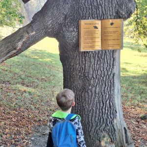 Sokolí výprava do obory