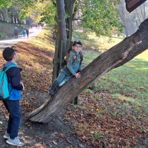 Sokolí výprava do obory