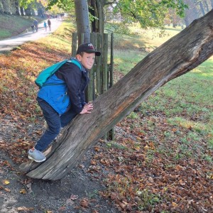 Sokolí výprava do obory