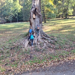 Sokolí výprava do obory