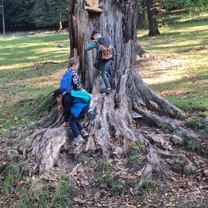 Sokolí výprava do obory