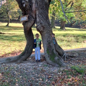 Sokolí výprava do obory