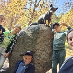 Sokolí výprava do obory