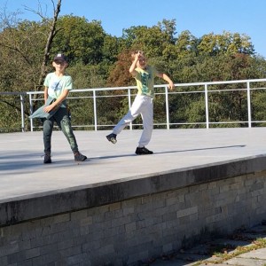 Sokolí výprava do obory