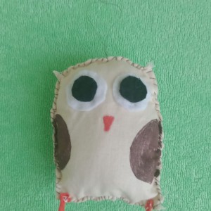 Soví hvězdářská výprava