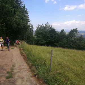Soví výprava do Orlických hor