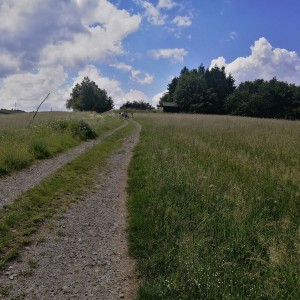 Soví výprava do Orlických hor
