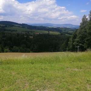 Soví výprava do Orlických hor