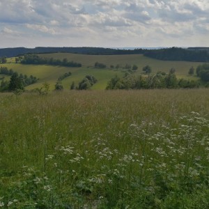 Soví výprava do Orlických hor